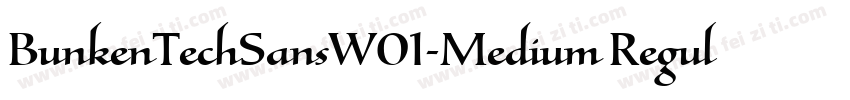 BunkenTechSansW01-Medium Regular字体转换